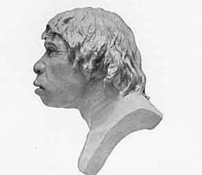 Side view of the restoration of the Piltdown man
