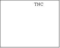 Text Box: 		 TNC					




 Consumers        Workers   
						
