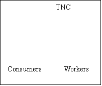 Text Box: 		 TNC					



 Consumers           Workers   
						
