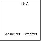 Text Box: 	       TNC					



 Consumers     Workers   
						

