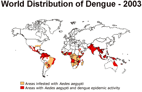 Dengue Fever World Distribution