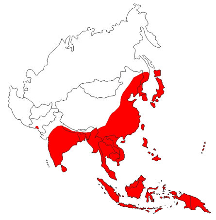 Distribution of Japanese Encephalitis in Asia
